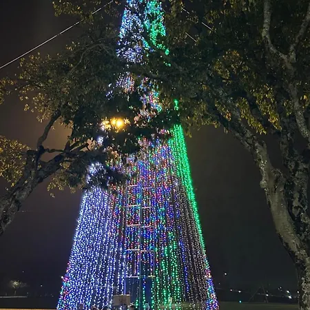 Apartment Ferreira's House Viana do Castelo