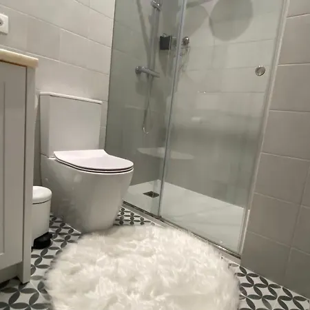 Ferreira's House Viana do Castelo