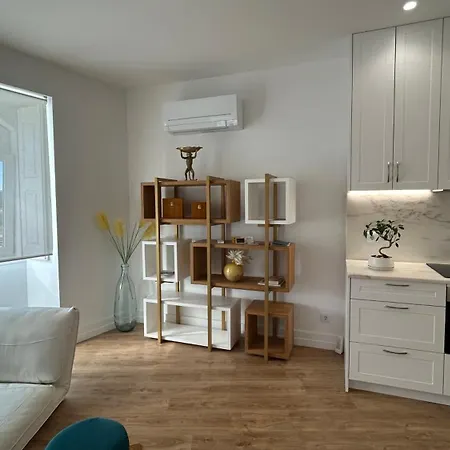 Ferreira's House Apartament Viana do Castelo