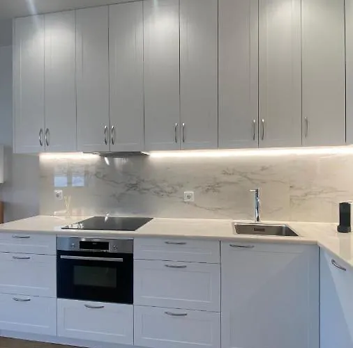 Ferreira's House 维亚纳堡