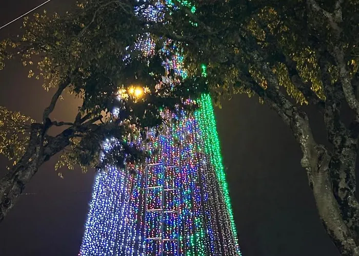 公寓 Ferreira's House 维亚纳堡